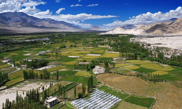 INDUS VALLEY