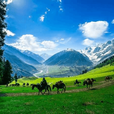destination_image