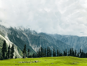 GLIMPSES OF KASHMIR