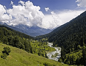 HONEYMOON TO PARADISE KASHMIR