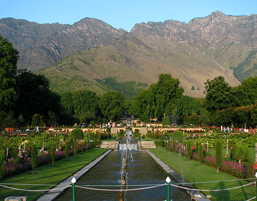 tour image