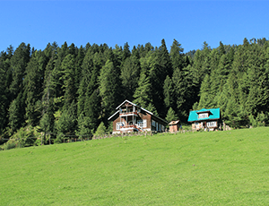 MESMERIZING KASHMIR AND LADAKH