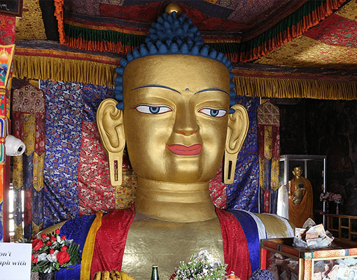tour image