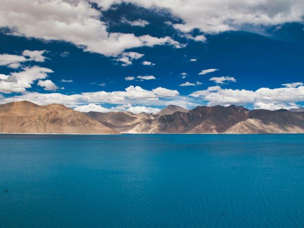 Ladakh's Realm: A Canvas Awaiting Your Discovery